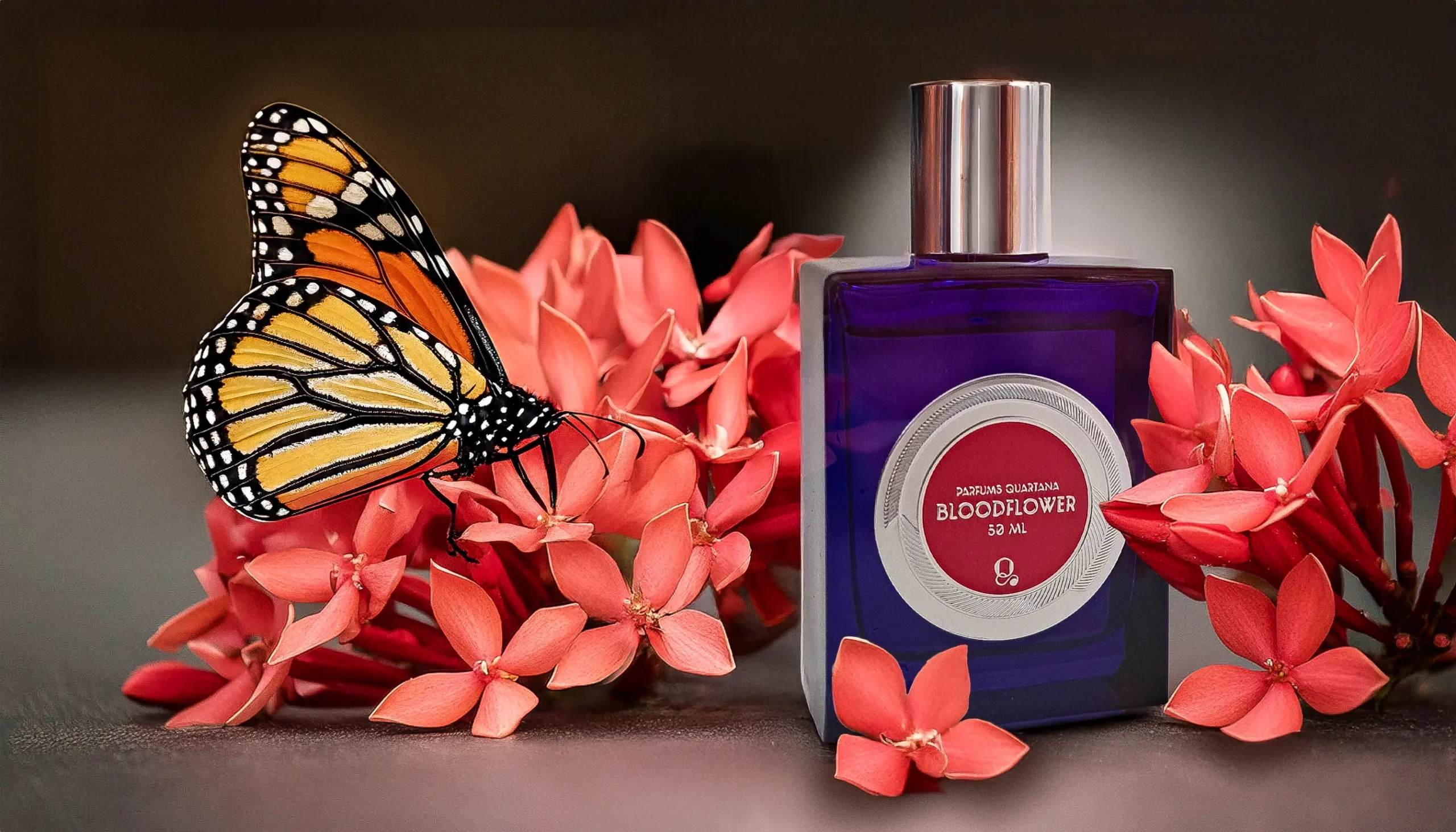 Monarch butterfly resting on a cluster of golden bloodflower blossoms next to the Parfums Quartana Bloodflower bottle.