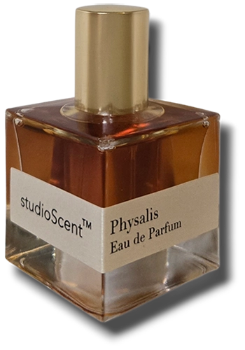 Minimalist cube-shaped glass bottle with a white wrap-around label and gold cylindrical cap, containing dark amber-colored perfume.